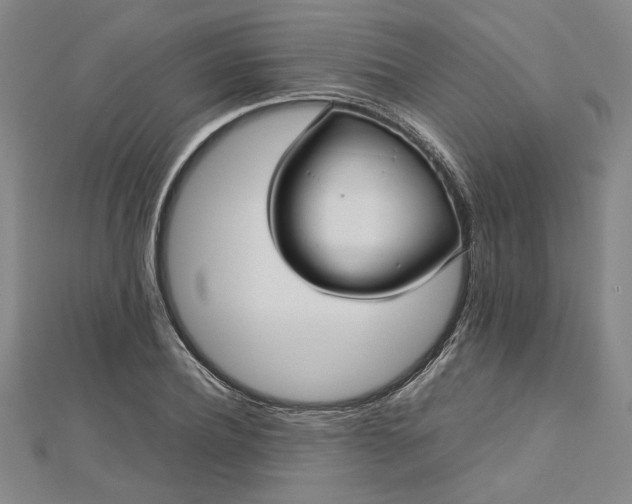 X0000112730932200909031441