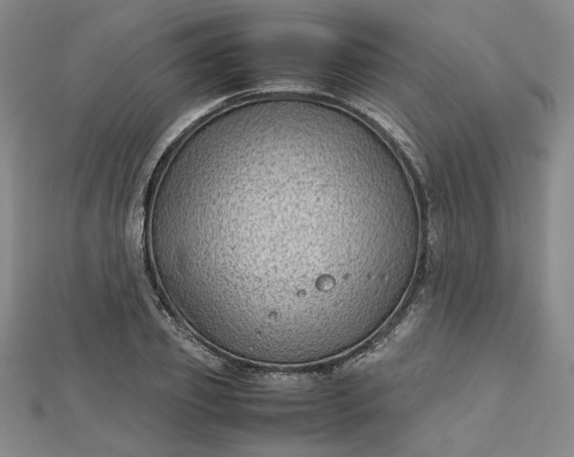 X0000112730933200909031441