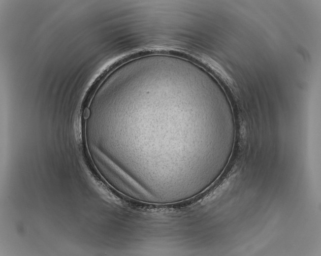 X0000112730934200909031441