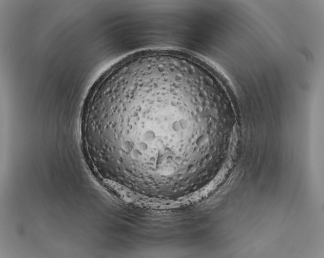 X0000112730935200909031441