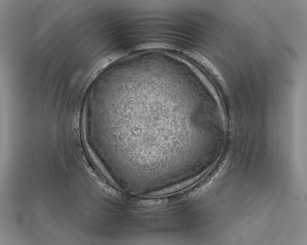 X0000112730937200909031441