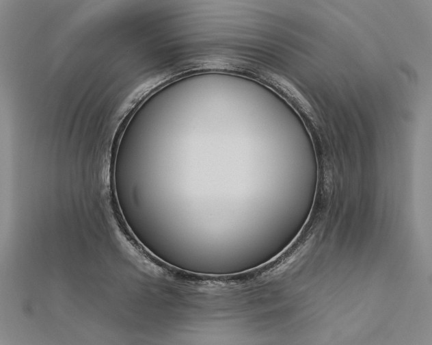 X0000112730938200909031441