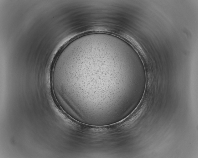 X0000112730939200909031441