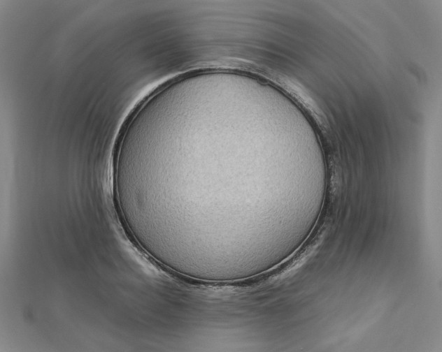 X0000112730940200909031441