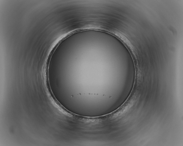 X0000112730941200909031441