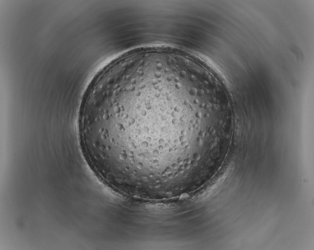 X0000112730943200909031441