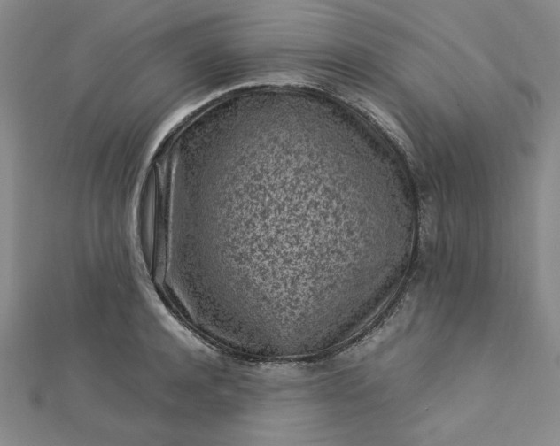 X0000112730944200909031441