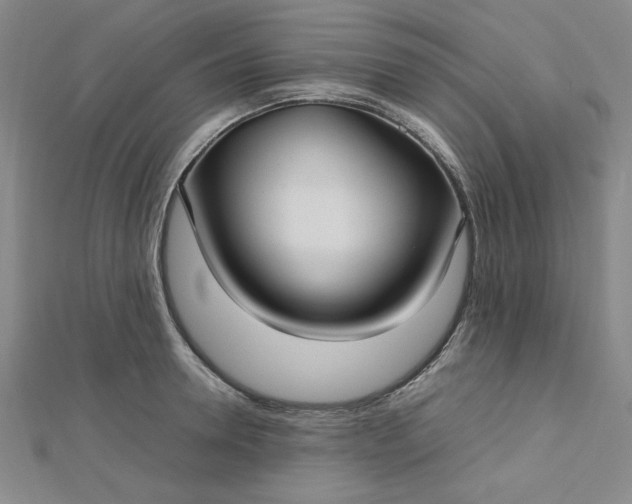 X0000112730946200909031441