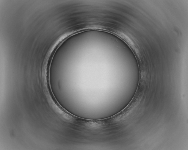 X0000112730947200909031441