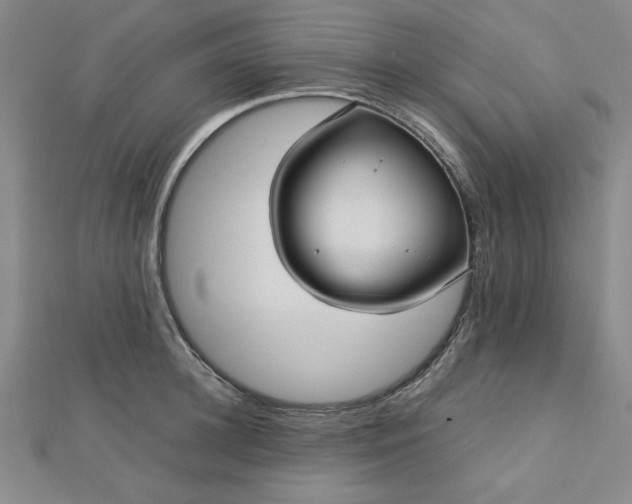 X0000112730948200909031441