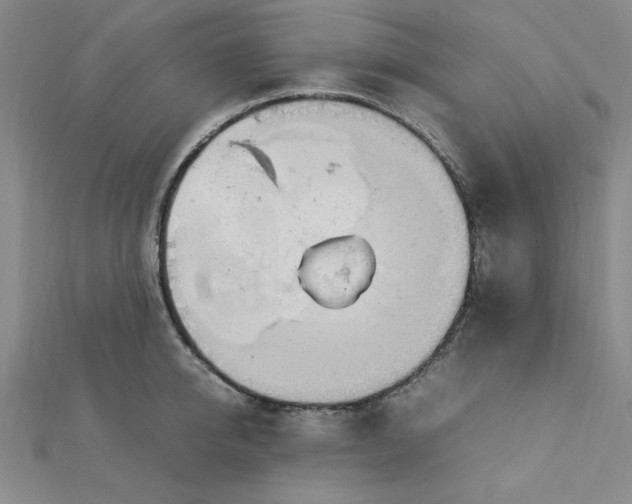 X0000112730950200909031441