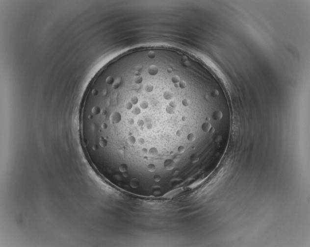 X0000112730951200909031441