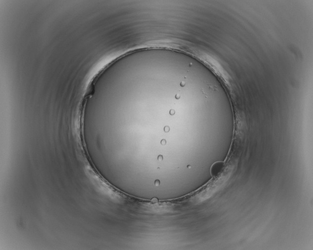 X0000112730952200909031441