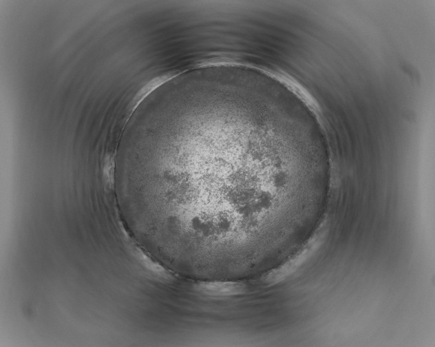 X0000112730953200909031441