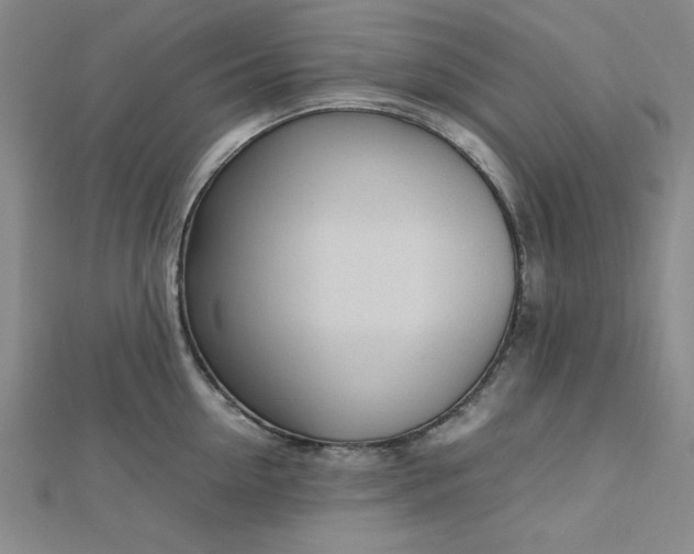 X0000112730954200909031441