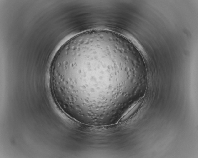 X0000112730955200909031441