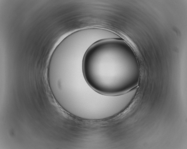 X0000112730956200909031441