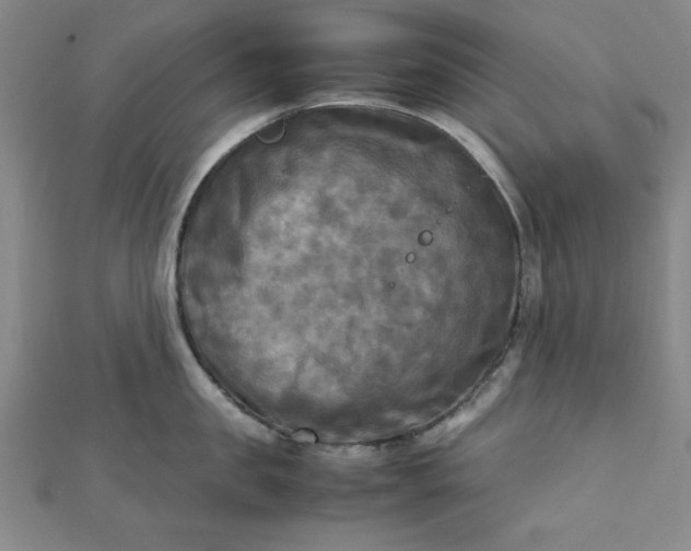 X0000112730957200909031441