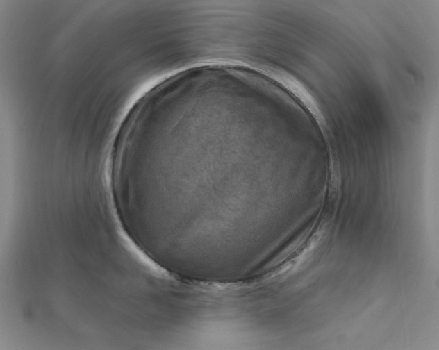 X0000112730958200909031441