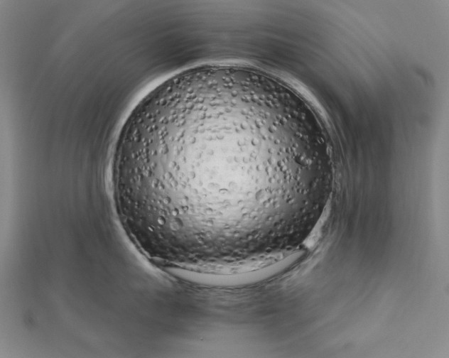 X0000112730959200909031441