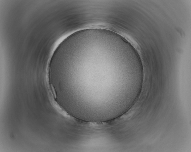 X0000112730960200909031441