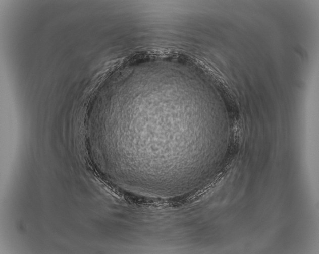 X0000112730961200909031441