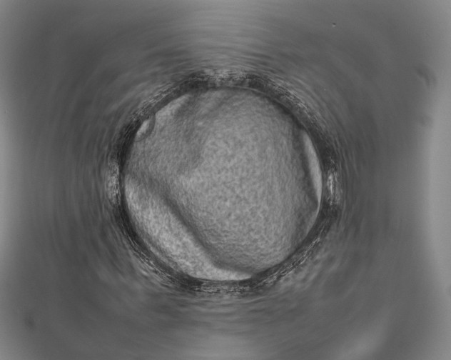 X0000112730963200909031441