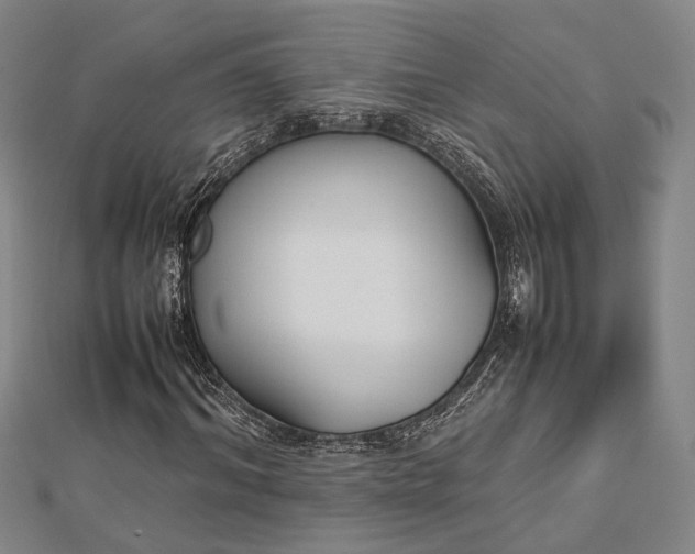 X0000112730964200909031441