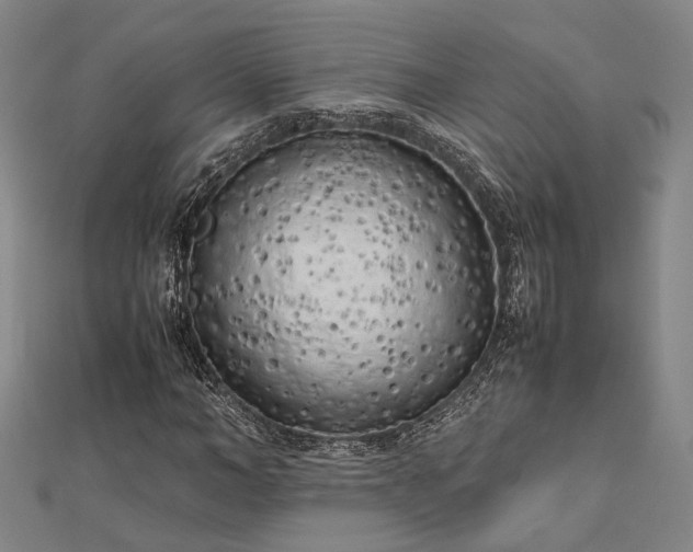 X0000112730966200909031441