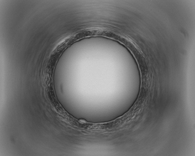 X0000112730967200909031441