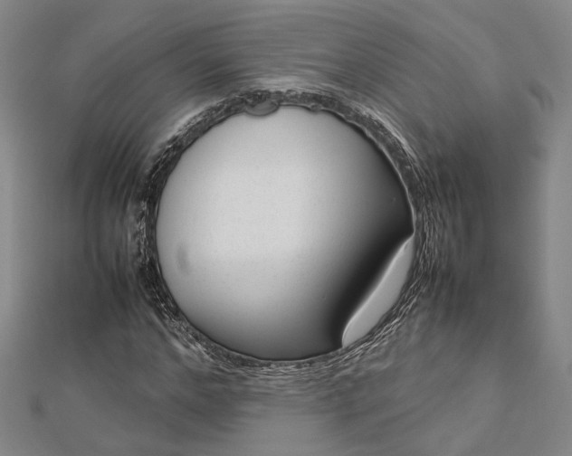 X0000112730968200909031441