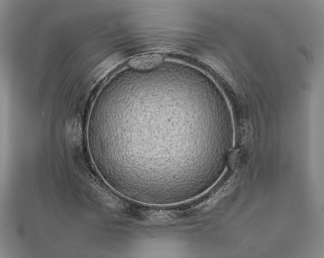 X0000112730969200909031441