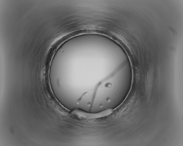 X0000112730971200909031441