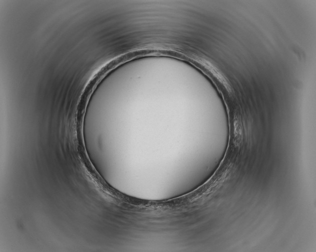 X0000112730972200909031441