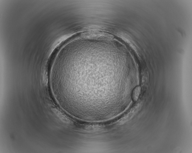 X0000112730973200909031441