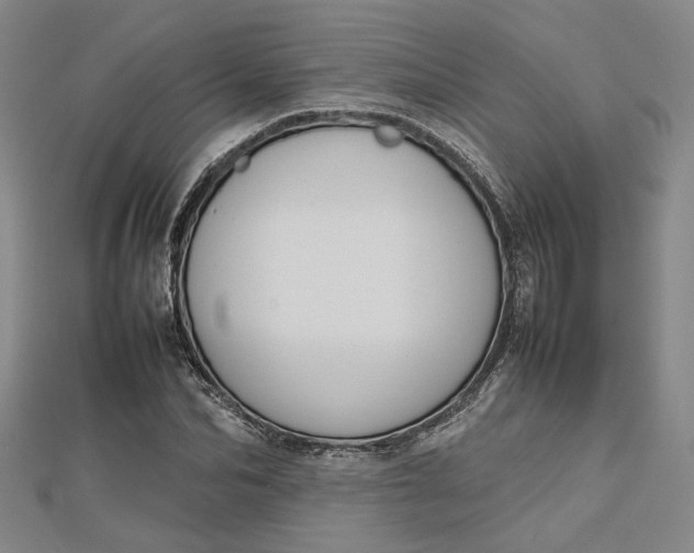 X0000112730974200909031441