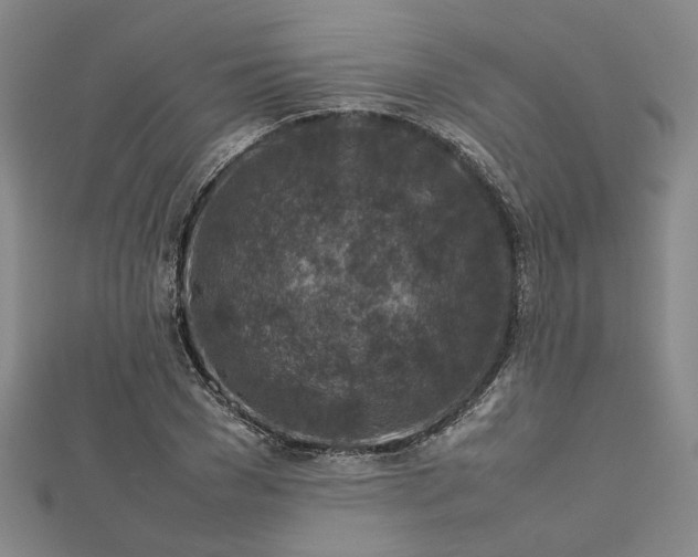 X0000112730977200909031440