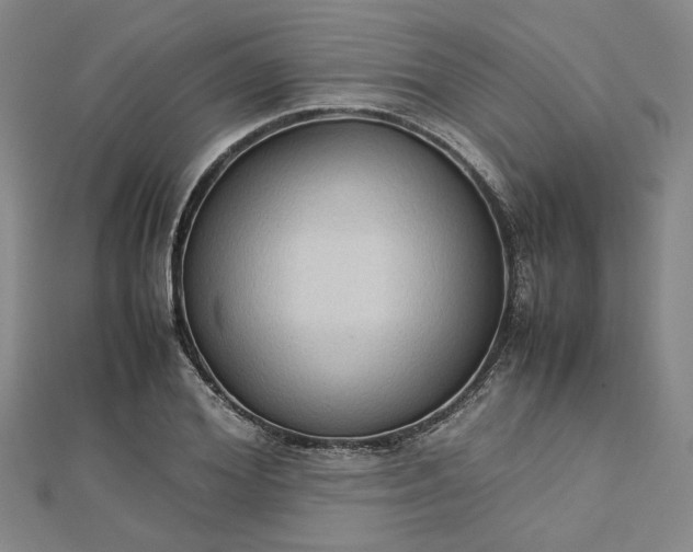 X0000112730980200909031440