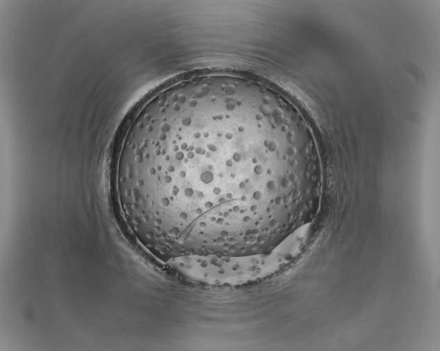 X0000112730983200909031440