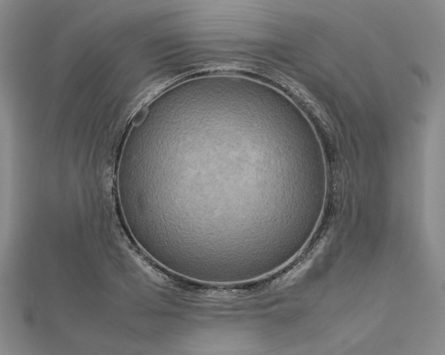 X0000112730985200909031440