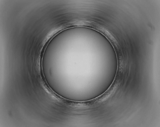 X0000112730986200909031440