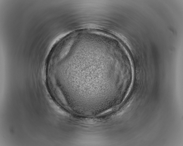 X0000112730987200909031440