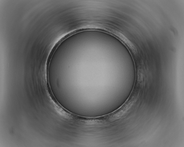 X0000112730988200909031440