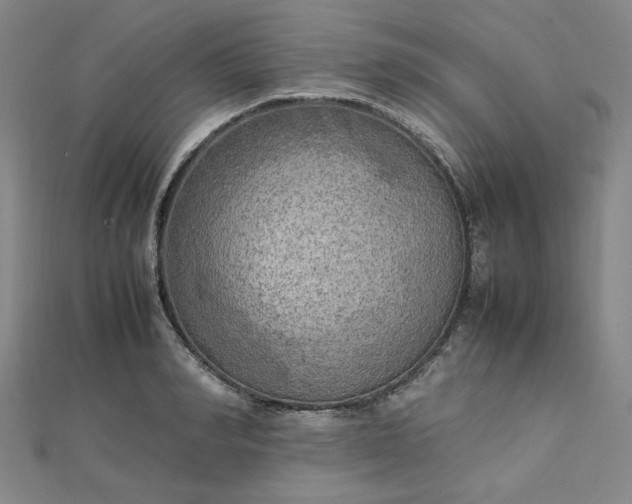 X0000112730990200909031440