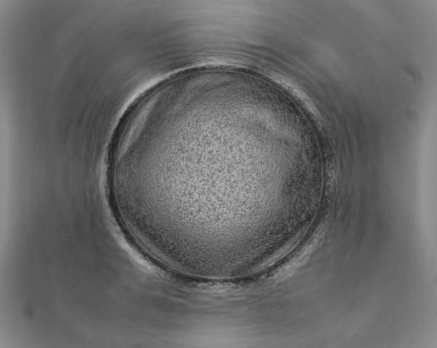 X0000112730991200909031440