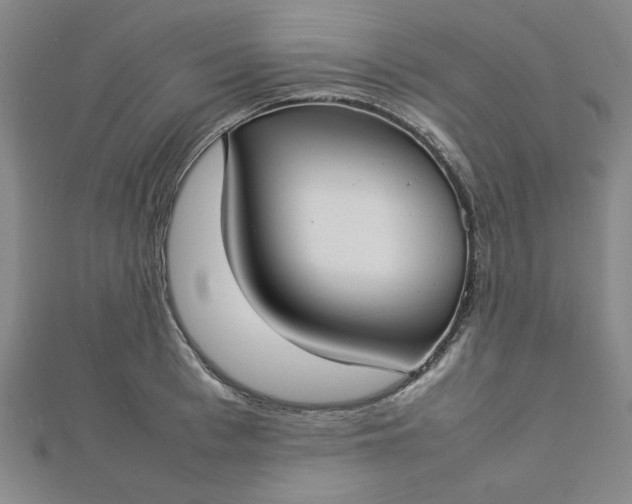 X0000112730993200909031440