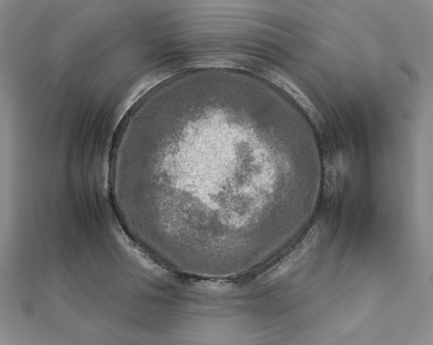 X0000112730994200909031440