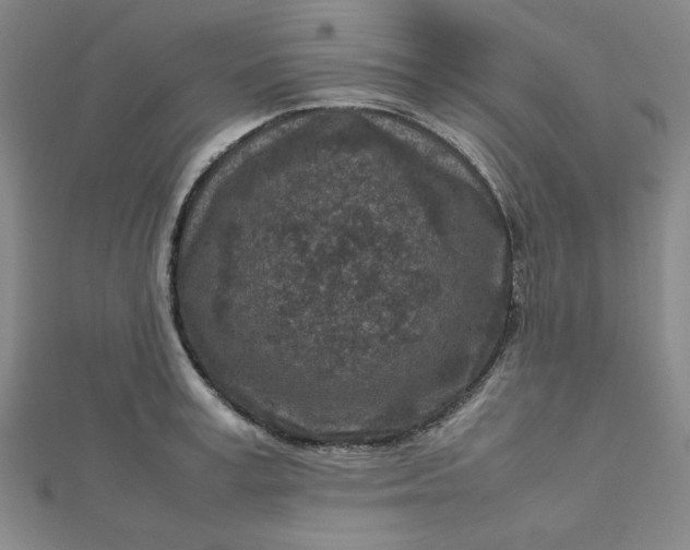 X0000112730995200909031440