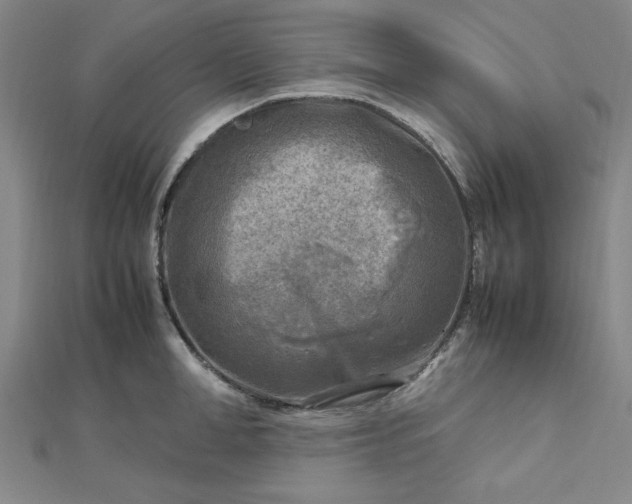 X0000112730998200909031440