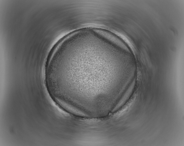 X0000112730999200909031440